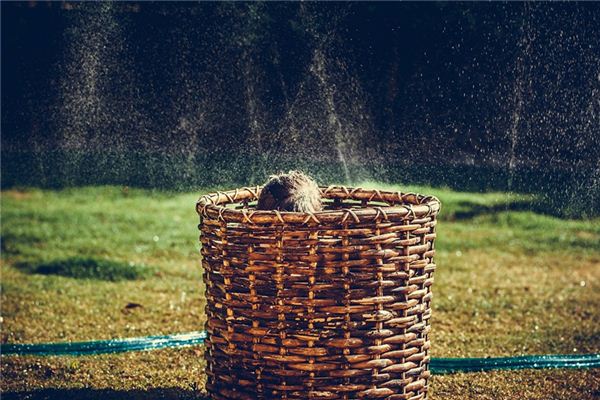 梦见躲猫猫是什么意思 梦见躲猫猫是什么意思