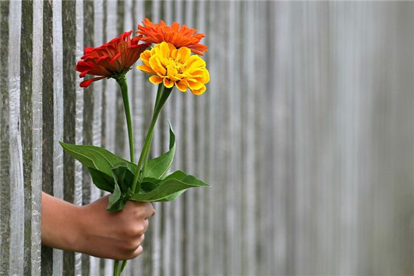 梦见表白遭拒是什么意思 梦见表白遭拒是什么意思