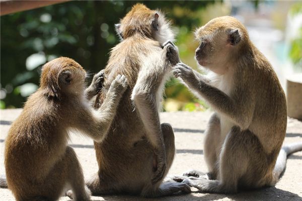 梦见痒是什么意思 梦见痒是什么意思