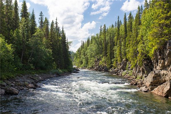 梦见溪水是什么意思 梦见溪水是什么意思